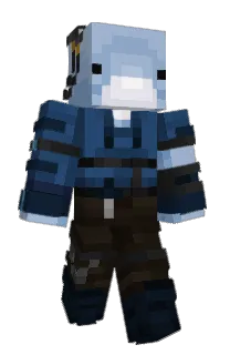 Front of dolphinman_rl's skin
