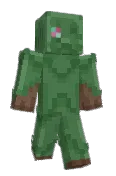 cloebuscus