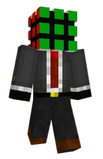 Front of badir's skin