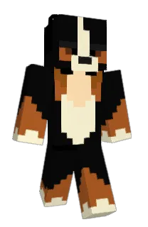 supersonicboom12's Minecraft skin