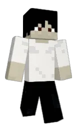 black and pampas Minecraft skin — Classic model — first worn by lyinginthereeds