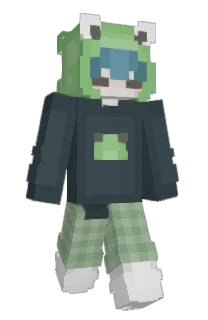 Front of zwiza's skin