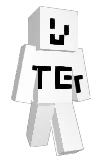 Front of KIM1252's skin