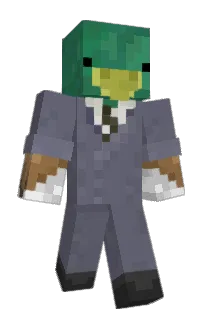 Front of alchoe's skin