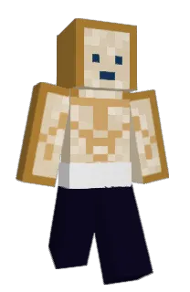 ToastyBoi21's Minecraft skin