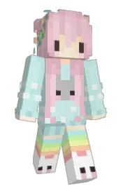 Skin preview