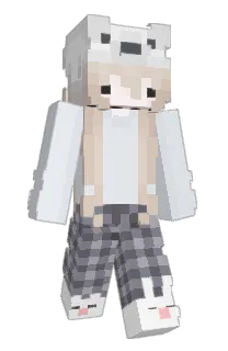 Front of sgxa's skin