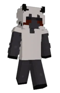 Front of _Narinder_'s skin