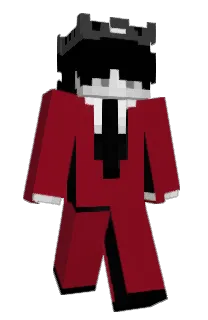 Front of PXIHS's skin