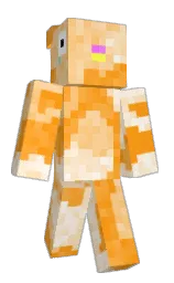 NMilo2865's Minecraft skin wearing the Migrator cape