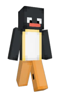 Front of ketcch's skin