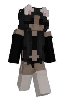 Front of N1KK1's skin