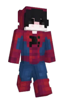 Front of WVH's skin