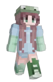 Skin preview