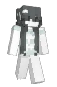 ASLEI