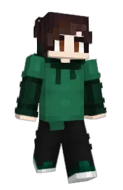 Skin preview