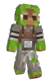 Skin preview