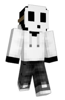 Front of r01dz's skin