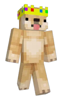 shadydoge's Minecraft skin