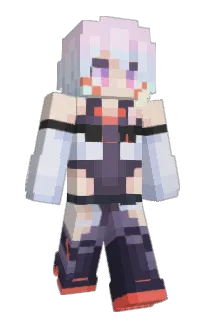 Front of dumkitty's skin