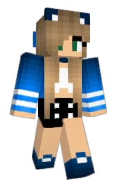 Skin preview