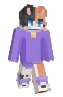 Front of BenjaminNetanyaa's skin