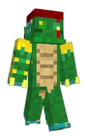 Skin preview