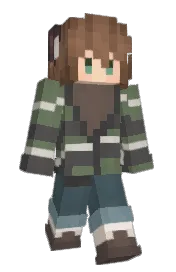 Skin preview