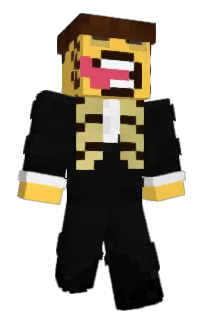 Front of mozartmozi's skin