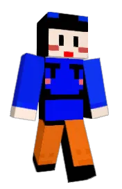 Skin preview