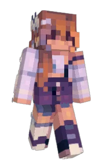 Front of TRI50's skin