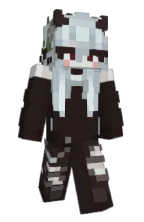 Front of noctibun's skin
