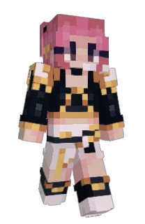 Front of fastfighter321's skin
