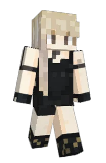 Front of DjiDji_141024's skin