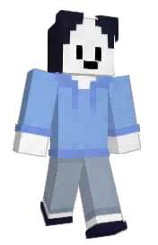 Skin preview