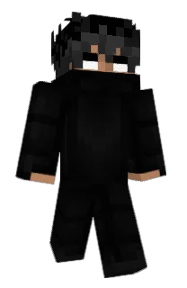 Front of porrc's skin