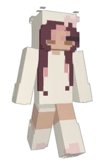 pvddinq's Minecraft skin