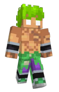 Front of 1nol's skin