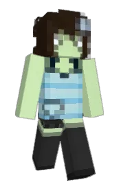 Skin preview
