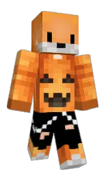 white and black Minecraft skin — Classic model — first worn by LiamPanda5670