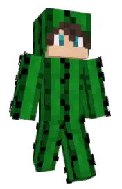 Skin preview