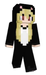 woodsmoke and cinderella Minecraft skin — Slim model — first worn by Kietty