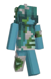Skin preview