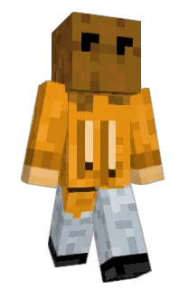 Front of LLcom's skin