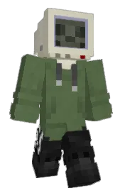 Skin preview