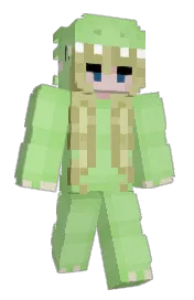 Skin preview