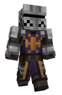 Front of Dlouhan's skin