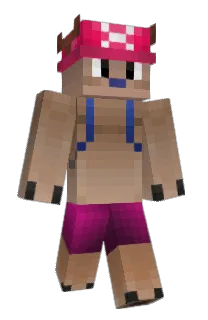 Front of Minecraft skin