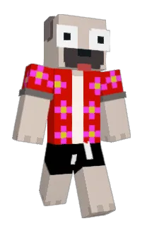 nineneepk's Minecraft skin