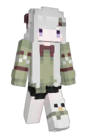 Skin preview